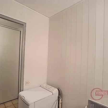 Rdc Avec Terrasse, Proche Thermes Et Centre-ville, Accepte Animaux - - Fr-1-451-98 Apartmán *