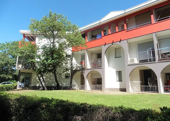 Rdc Avec Terrasse, Proche Thermes Et Centre-ville, Accepte Animaux - - Fr-1-451-98